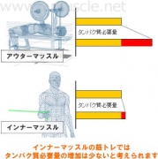 インナーマッスルとプロテイン