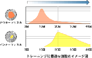 トレーニング回数とセット数