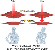 肩こりとインナーマッスル