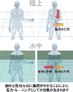 水泳でインナーマッスル筋トレ