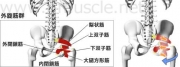 脚腰のインナーマッスル:脚の挙上2