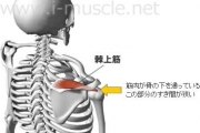 病院での診察